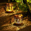 2 Faroles Solares Colibrí LED para Jardín Mamá Abuela