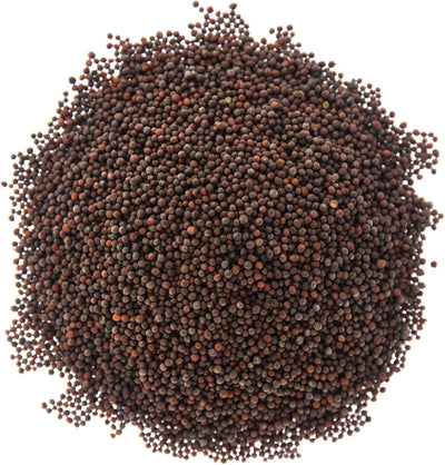Trío brotes brócoli microverdes 1lb sin OMG