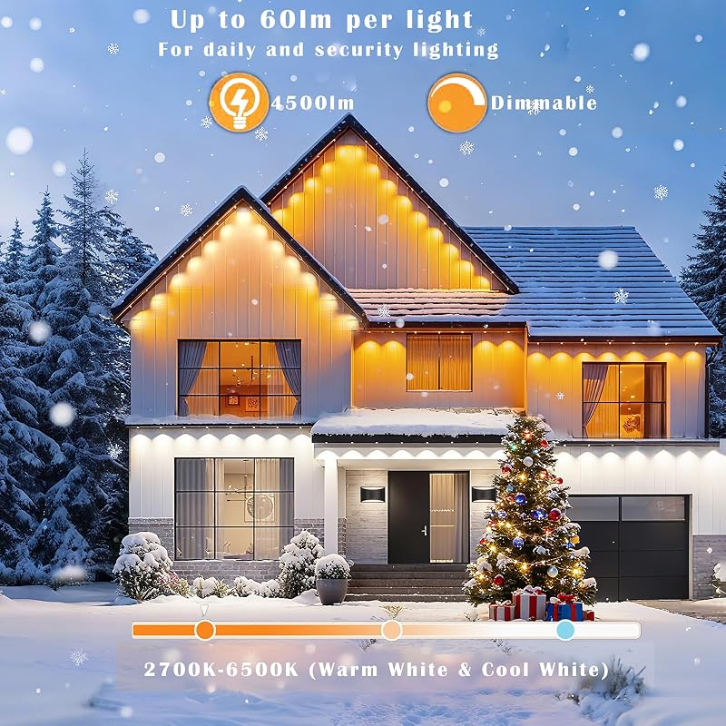 Luces Navidad al Aire Libre 50pies RGBIC con Alexa