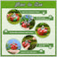 3 Comederos Colibrí Vidrio 3.2" 2 Puertos Cuerda Colgante