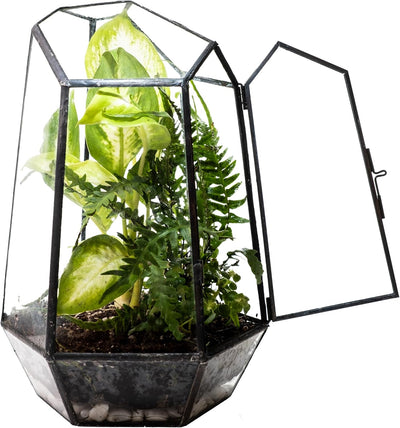 Terrario vidrio transparente puerta diseño geométrico musgo