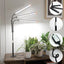Luz cultivo espectro completo 5000K LED para suculentas