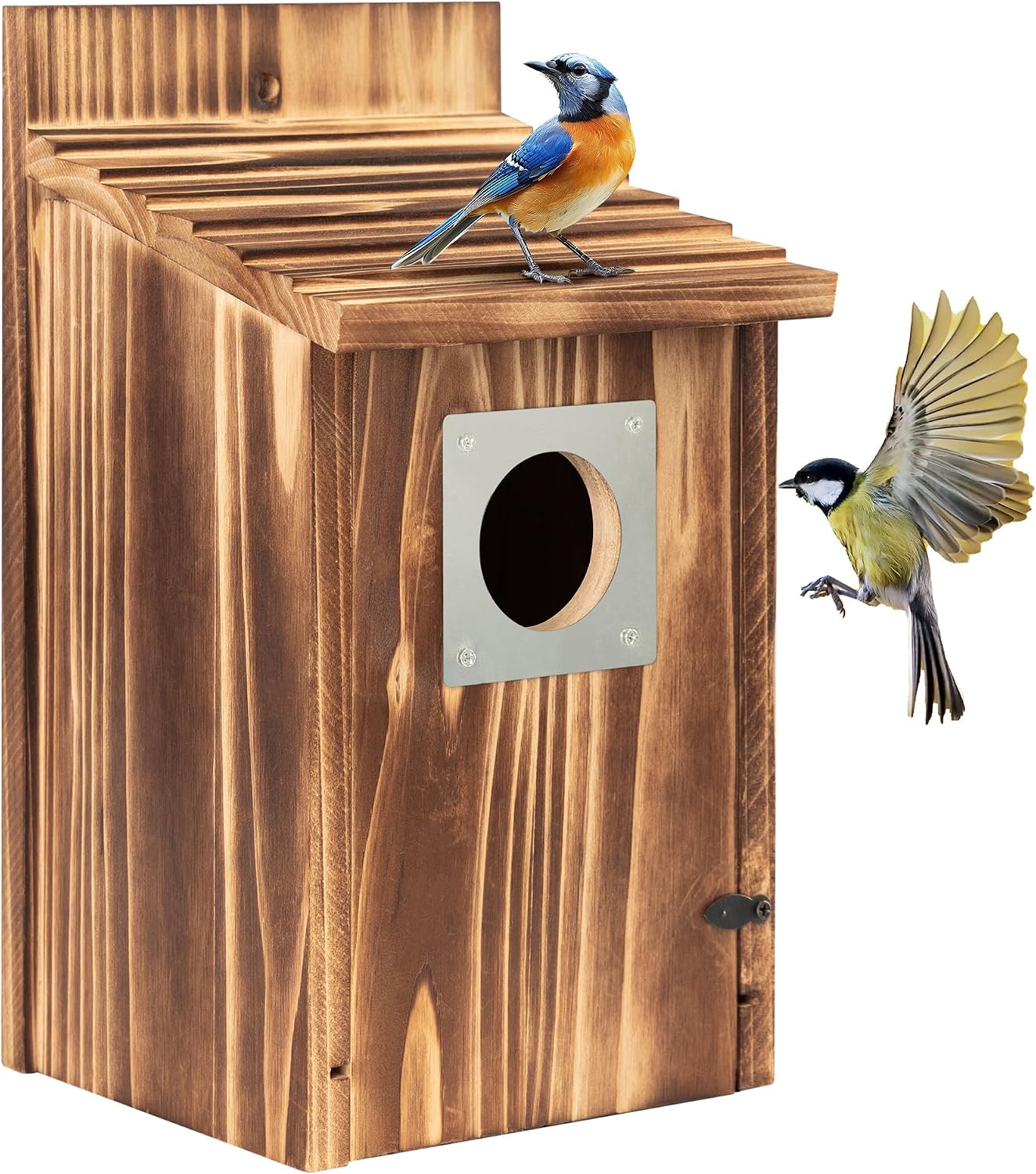 Casas pájaros exteriores protector metal caja madera