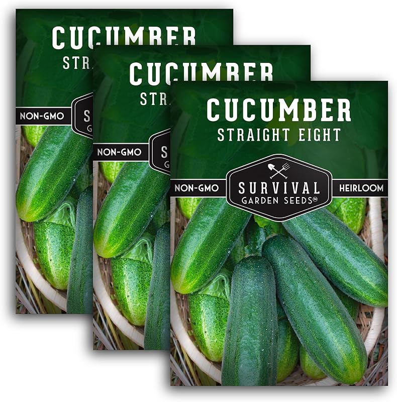 3 Pack Semillas Pepino Rectas Ocho Instrucciones Cultivo Huerto