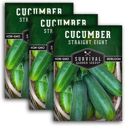 3 Pack Semillas Pepino Rectas Ocho Instrucciones Cultivo Huerto