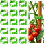 100 Pzas Clips Plástico para Tomate y Vegetales Jardín