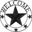 Arte pared metal Lone Star decoración hogar estilo western