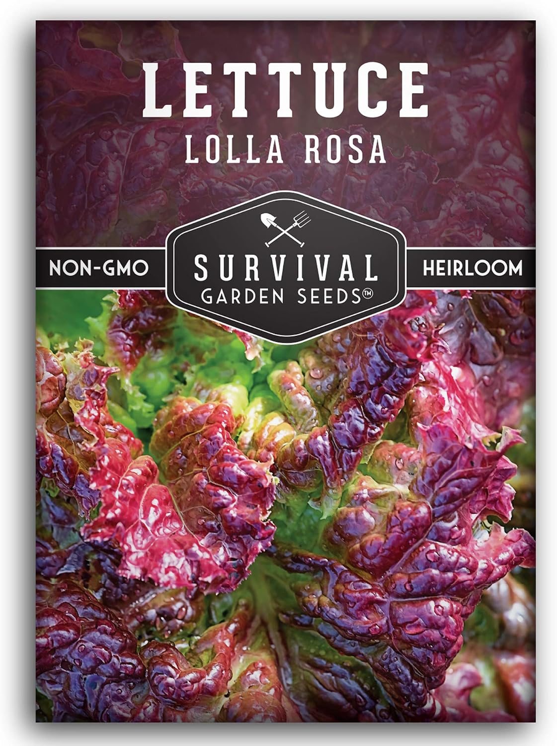 Semillas lechuga roja tolerantes calor variedad heredada