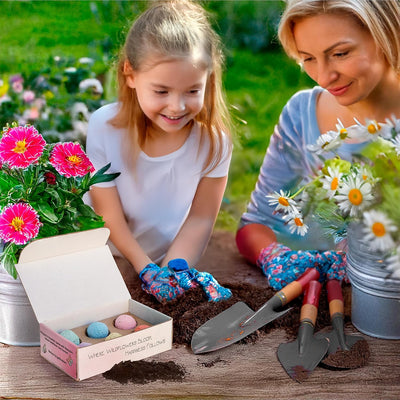 Caja regalo semillas flores silvestres 6 bolas coloridas
