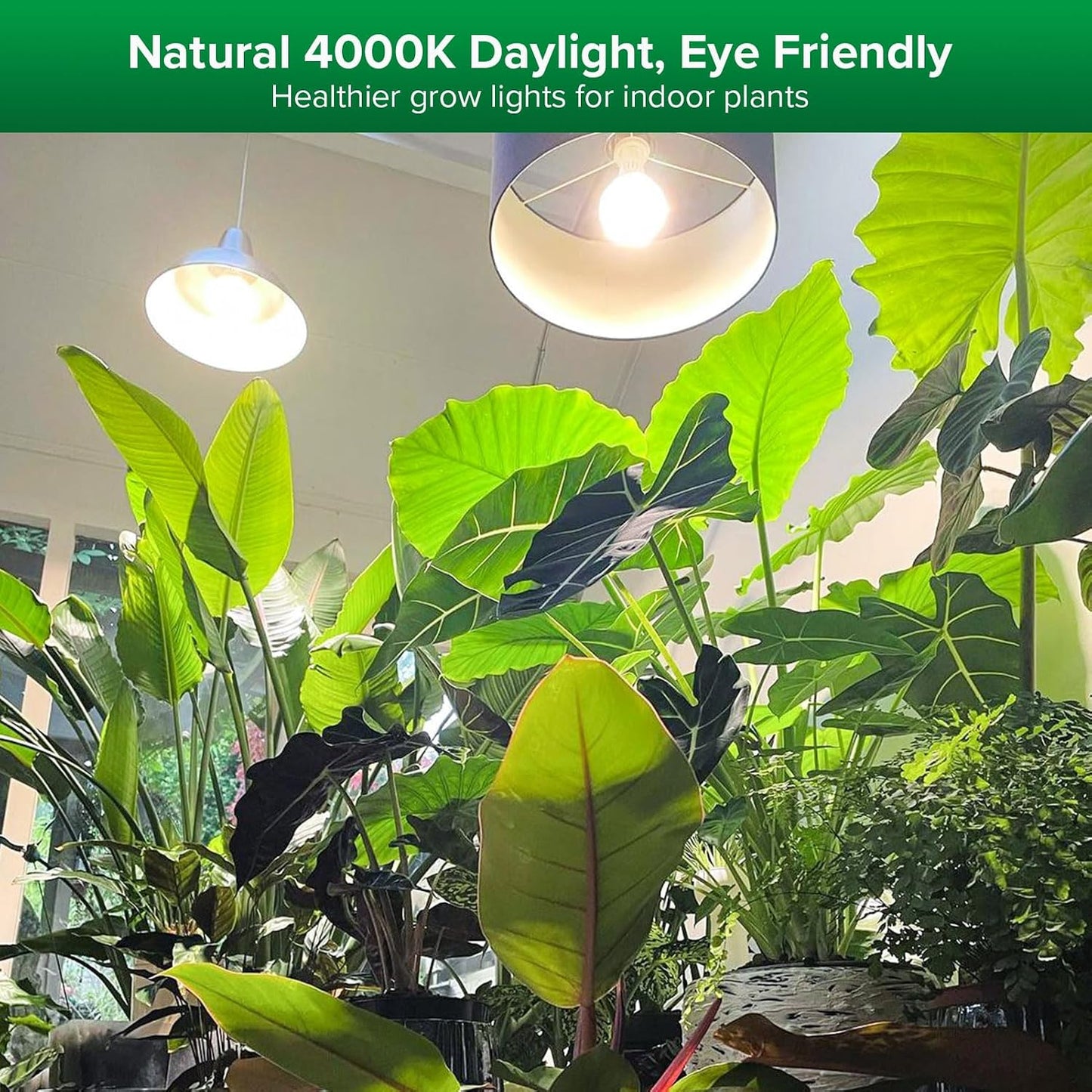 Lámpara cultivo 10w espectro completo lente optica ppfd