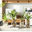 Set 12 jarrones hidropónicos vidrio decoración
