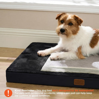 Alfombrilla espuma para perros gran tamaño 35x22