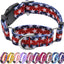 Collar Martingale con Bandera Hebilla Ajustable Perros Grande