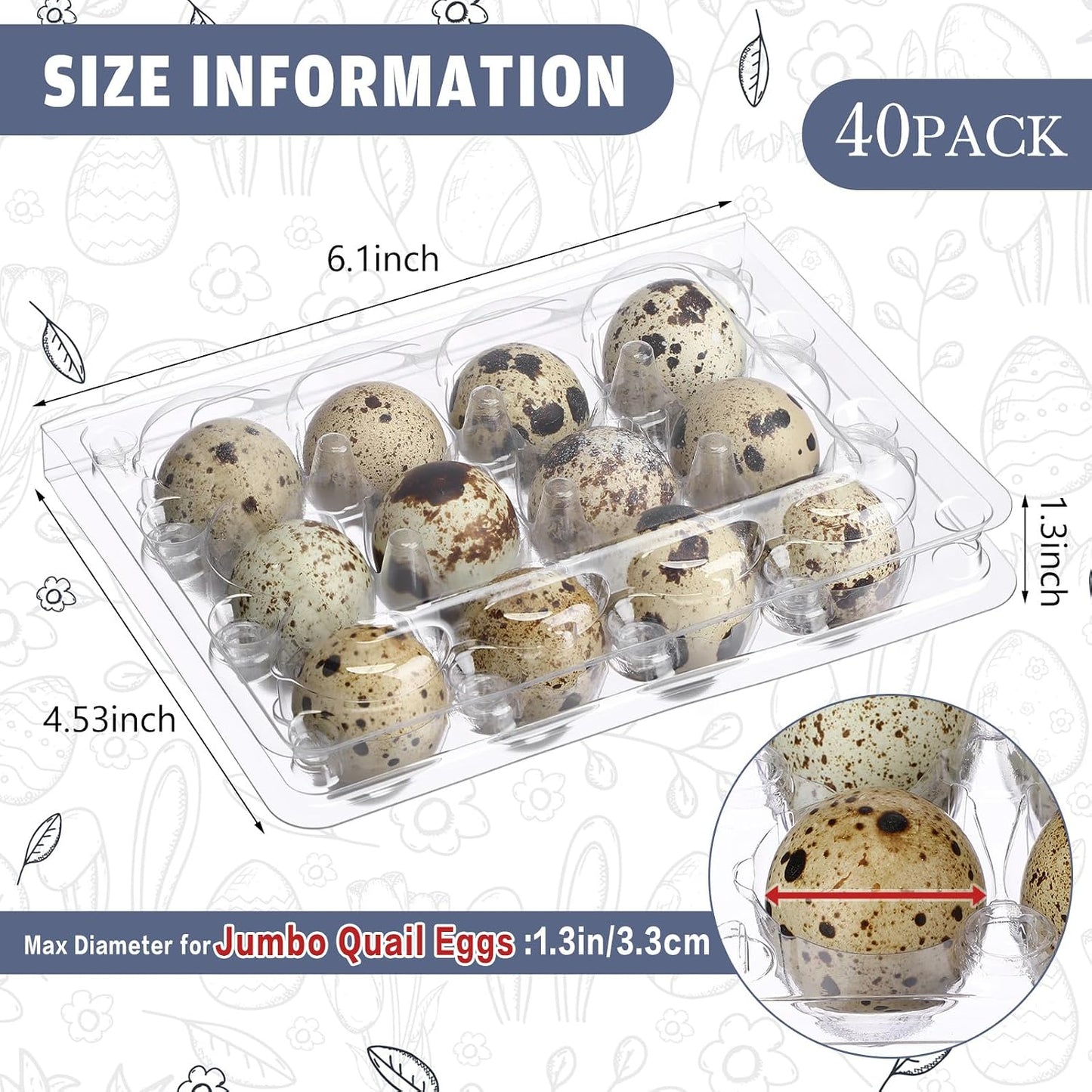 40 Cajas Huevos Codorniz 12 Rejillas Plástico Transparente
