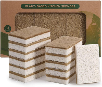 Esponjas de coco biodegradable paquete 12
