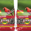 Alimento pájaros cardenales bolsa 4lb set 2