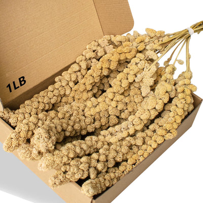 Golosinas mijo natural para pájaros periquitos y loros