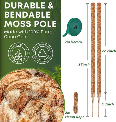 Soporte plantas monstera 28pulg fibra coco 2 pzas