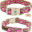 Collar perro cachorro diseño dill pickle rosa ajustable