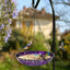 Baño colgante pájaros 11" cuenco metal color púrpura y azul