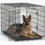 Jaula plegable perros 48pulg doble puerta bandeja extraíble