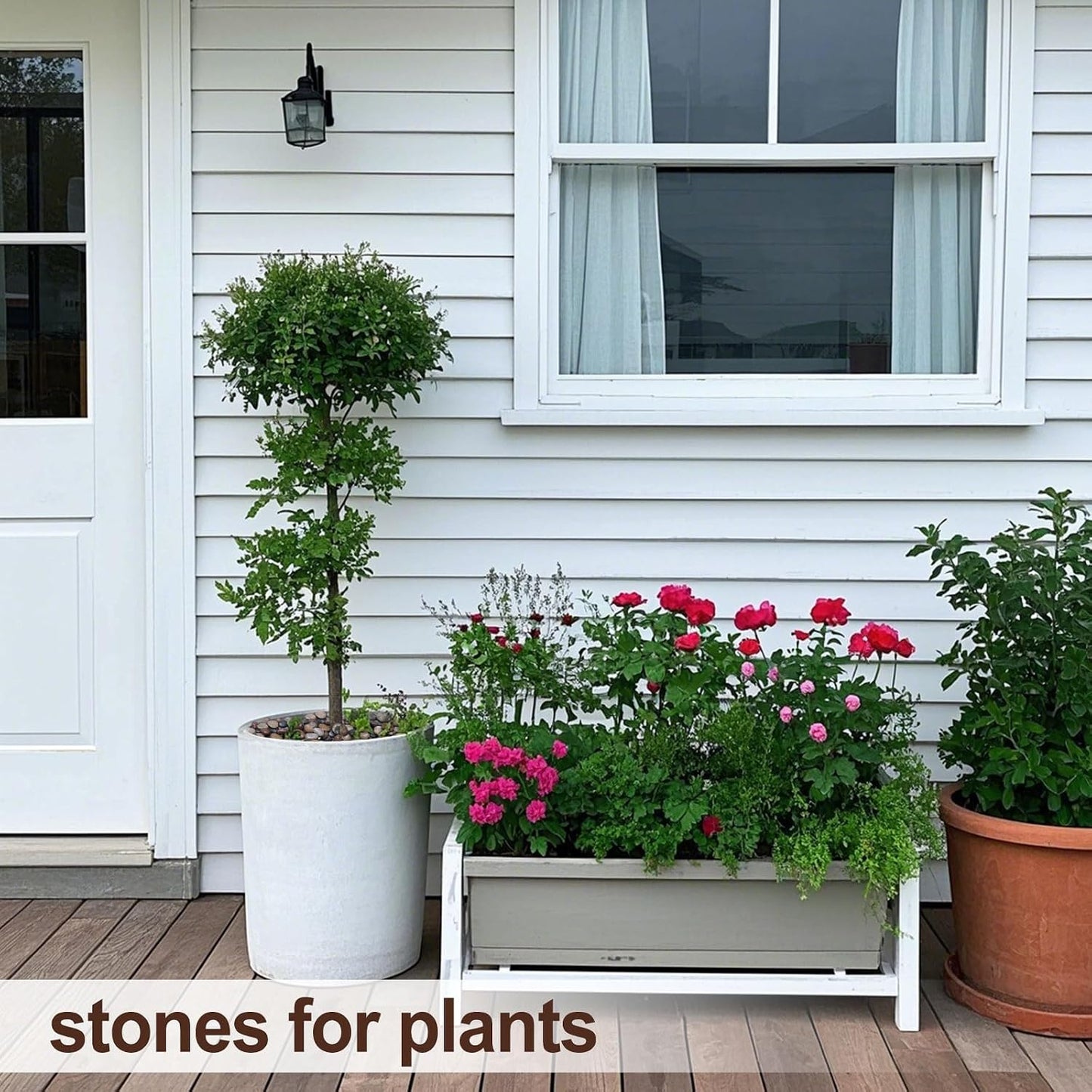 Rocas de río para plantas decorativas interiores y
