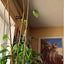 10 Pzas Aro U Bambú para Enrejado Jardín Interior Exterior