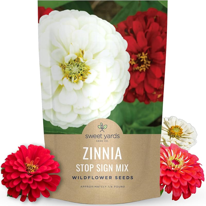 Bolsa semillas Zinnia elegans 1/4 libra 15000 unidades
