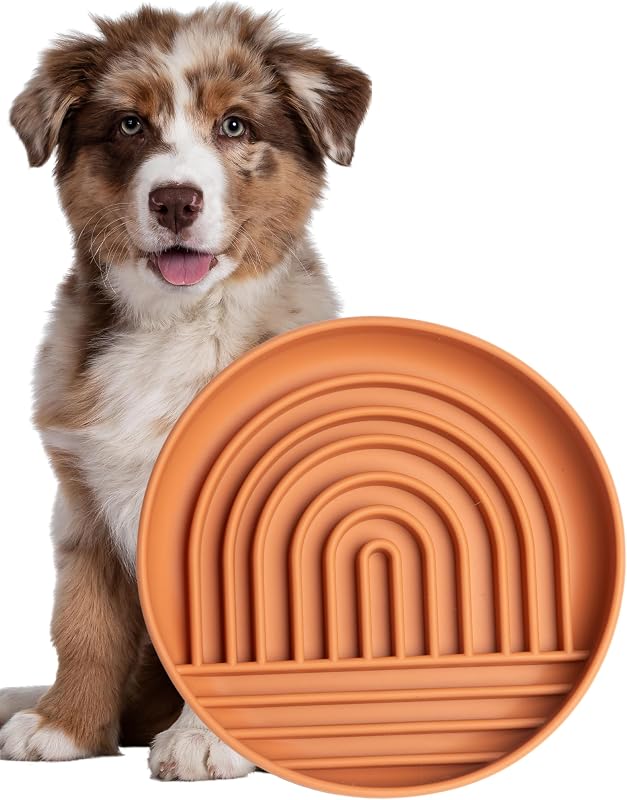 Cuenco silicona comedero lento perros diseño moderno