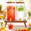 2 Dispensadores Bebida Vidrio 1.5gal Soporte Plegable