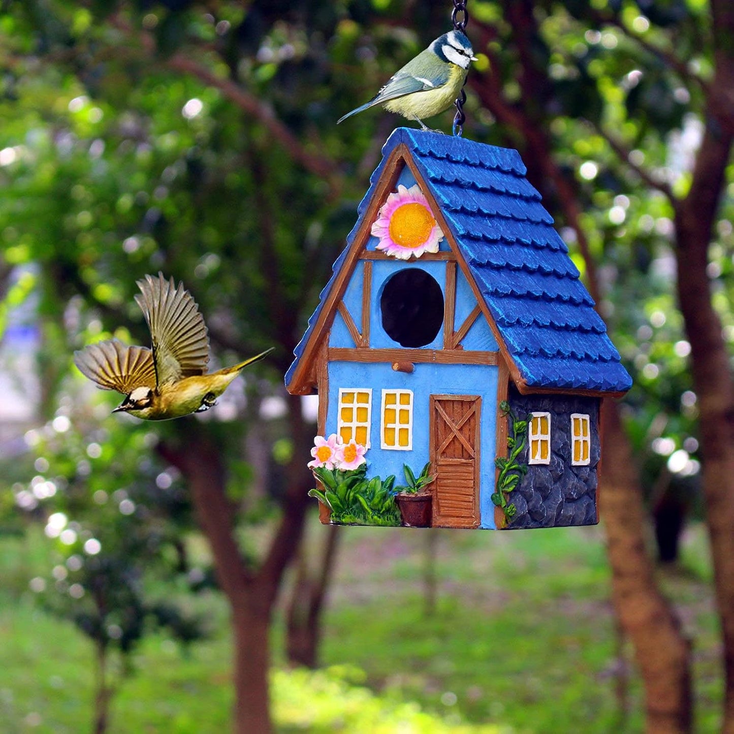 Casa para pájaros exterior colgar jardín pinzones colibrí