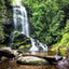 Papel tapiz 151x105" cascada bosque tropical dormitorio sala