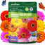 5000 semillas zinnia 2026 5 variedades flores grandes mix