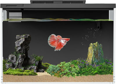 Tanque peces Betta 4gal acuario inteligente con filtro luz bomba