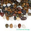 Piedras decorativas acuario 3/8 pulg mixto 10lb
