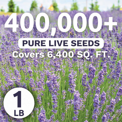 Bolsa lavanda 1lb semillas flores plantar