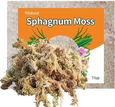 Musgo esfagnal para enraizamiento de plantas 312g