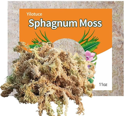 Musgo esfagnal para enraizamiento de plantas 312g