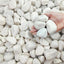 Rocas blancas mate 5lb para plantas 2-3" decorativas