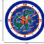 Reloj pared mascota Gators 11.5" bisel cristal