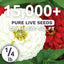 Bolsa semillas Zinnia elegans 1/4 libra 15000 unidades