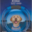 Collar LED perro recargable 5h resistente 12-27