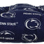 Cojín D 20x20pulg para asiento interior/exterior Penn State
