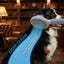 Cepillo mascotas pelo largo y corto para gatos y perros azul