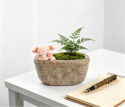 Maceta cerdo decoración hogar oficina regalo jardín hadas