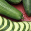 Semillas Pepino Raro Emelya Gigante Largo Heirloom