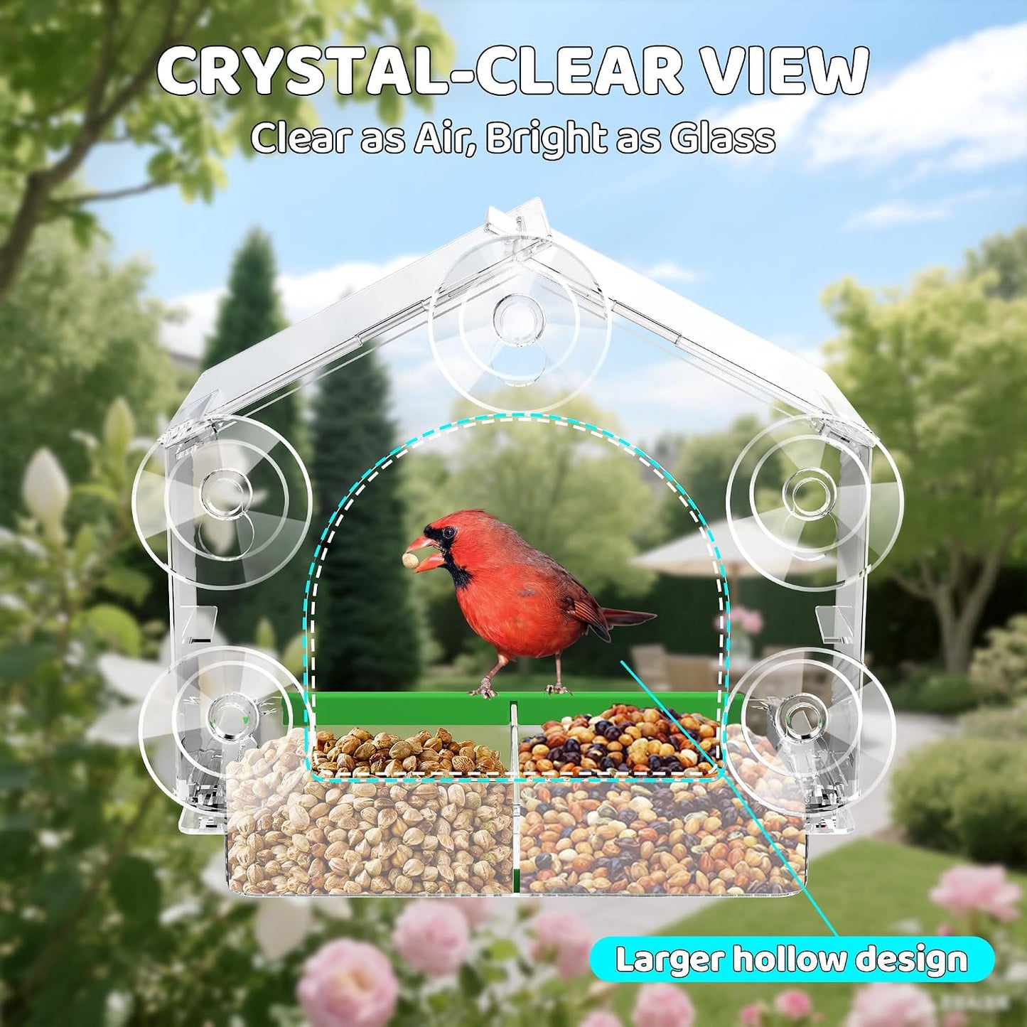 Comedero aves transparente con ventosas 5 y bandeja desmontable