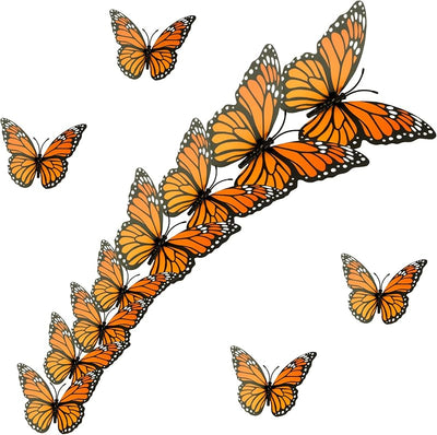 Decoración 3D mariposas naranjas Halloween boda fiesta