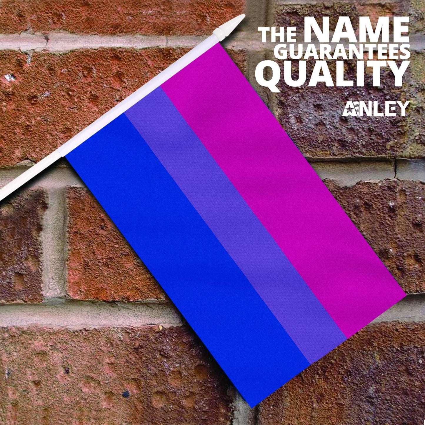12 Banderas Bisexual Mini 5x8pulg Resistentes