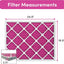 Filtro aire MERV 8 para mascotas 20x25"